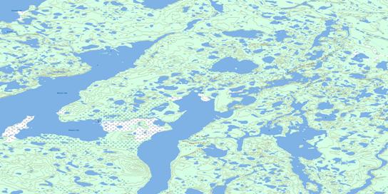 Niwelin Lake Topo Map 096N13 at 1:50,000 scale - National Topographic System of Canada (NTS) - Toporama map
