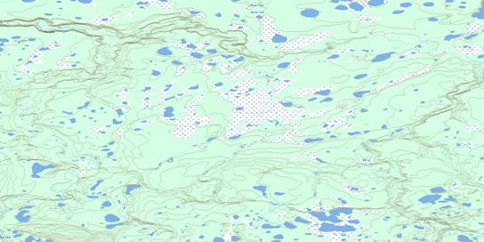 Tree River Topo Map 106N01 at 1:50,000 scale - National Topographic System of Canada (NTS) - Toporama map