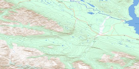 Duke River Topo Map 115G06 at 1:50,000 scale - National Topographic System of Canada (NTS) - Toporama map