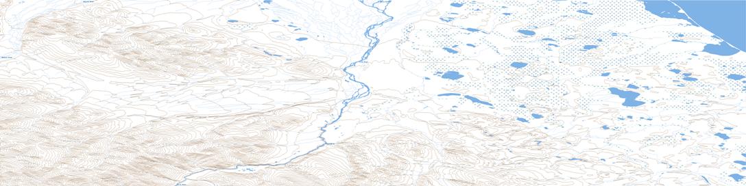 Loney Creek Topographic map 117D05 at 1:50,000 Scale