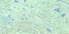 012M02 Lac Ruffin Topo Map Thumbnail
