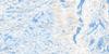 024L01 Lac Jourdan Topo Map Thumbnail