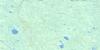 032L10 Riviere Missisicabi Ouest Topo Map Thumbnail