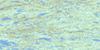 033J06 Lac Daureillant Topo Map Thumbnail