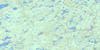 042C07 Medhurst Creek Topo Map Thumbnail