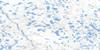 066N05 Marsh Rapids Topo Map Thumbnail