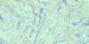 075C04 Tatse Lake Topo Map Thumbnail