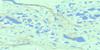 106M08 Nerejo Lake Topo Map Thumbnail