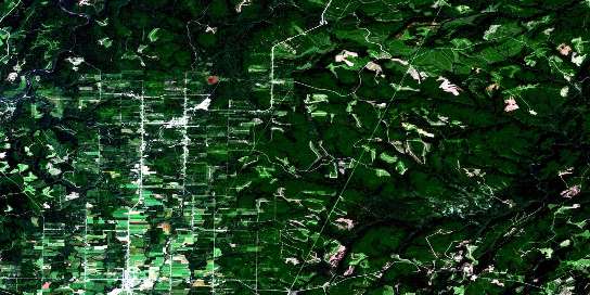 Kedgwick Satellite Map 021O11 at 1:50,000 scale - National Topographic System of Canada (NTS) - Orthophoto