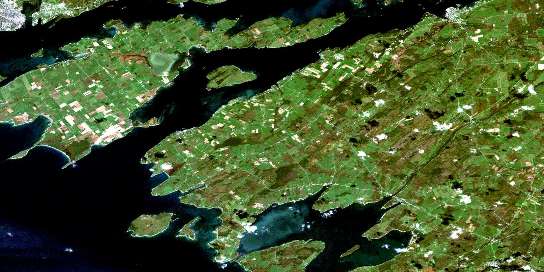 Wolfe Island Satellite Map 031C01 at 1:50,000 scale - National Topographic System of Canada (NTS) - Orthophoto