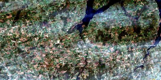 Lindsay Satellite Map 031D07 at 1:50,000 scale - National Topographic System of Canada (NTS) - Orthophoto