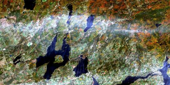 Fenelon Falls Satellite Map 031D10 at 1:50,000 scale - National Topographic System of Canada (NTS) - Orthophoto