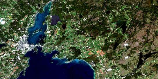 Orillia Satellite Map 031D11 at 1:50,000 scale - National Topographic System of Canada (NTS) - Orthophoto