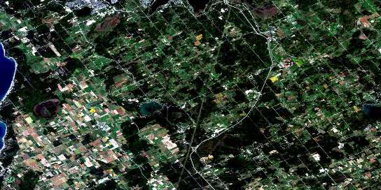Elmvale Satellite Map 031D12 at 1:50,000 scale - National Topographic System of Canada (NTS) - Orthophoto