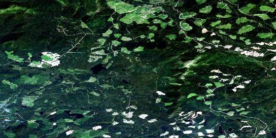 Salmon Lake Satellite Map 093J13 at 1:50,000 scale - National Topographic System of Canada (NTS) - Orthophoto