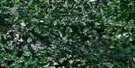 011E07 Hopewell Aerial Satellite Photo Thumbnail