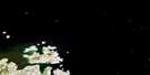 013N16 Nunaksaluk Island Aerial Satellite Photo Thumbnail