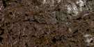 014E05 Lac Pilliamet Aerial Satellite Photo Thumbnail
