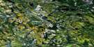 021J15 Tuadook Lake Aerial Satellite Photo Thumbnail