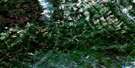 021L06 Saint-Sylvestre Aerial Satellite Photo Thumbnail