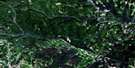 021O12 Gounamitz River Aerial Satellite Photo Thumbnail