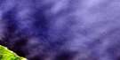 022H01 Petit-Cap Aerial Satellite Photo Thumbnail