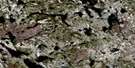 023B13 Lac De La Bouteille Aerial Satellite Photo Thumbnail