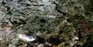 023B14 Lac Virot Aerial Satellite Photo Thumbnail