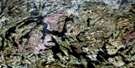 023G04 Lac Opiscotiche Aerial Satellite Photo Thumbnail