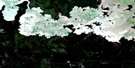 032D12 Lightning River Aerial Satellite Photo Thumbnail
