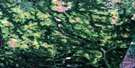 032E09 Lac Laurin Aerial Satellite Photo Thumbnail