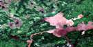 032F13 Matagami Aerial Satellite Photo Thumbnail