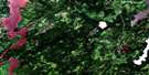 032K03 Lac Soscumica Aerial Satellite Photo Thumbnail
