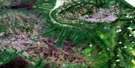 032M06 Riviere Octave Aerial Satellite Photo Thumbnail