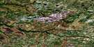 032M16 Lac Coignan Aerial Satellite Photo Thumbnail