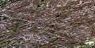 033D16 Riviere De Peuplier Aerial Satellite Photo Thumbnail