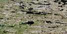 034O05 Lac Alorutchaak Aerial Satellite Photo Thumbnail