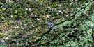 040I15 Tillsonburg Aerial Satellite Photo Thumbnail