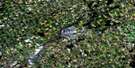 040P02 Woodstock Aerial Satellite Photo Thumbnail