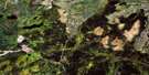 042B16 Griffin Lake Aerial Satellite Photo Thumbnail