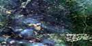 042G05 Mead Aerial Satellite Photo Thumbnail
