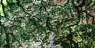 042I06 Lyla Lake Aerial Satellite Photo Thumbnail