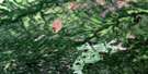 042J02 Friday Creek Aerial Satellite Photo Thumbnail