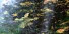 042J04 Keown Lake Aerial Satellite Photo Thumbnail