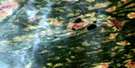 042J05 Serinack Lake Aerial Satellite Photo Thumbnail