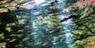 042J06 Martison Lake Aerial Satellite Photo Thumbnail