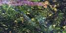 042L16 La Rose Lake Aerial Satellite Photo Thumbnail
