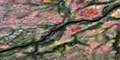 042O05 Chemahagan River Aerial Satellite Photo Thumbnail