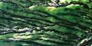 042P03 Cheepash River Aerial Satellite Photo Thumbnail