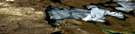 047A11 Walrus Island Aerial Satellite Photo Thumbnail